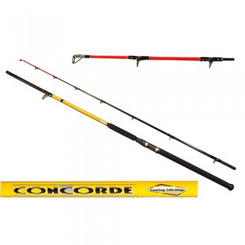 Спиннинг Concorde (50-150грамм) (2.40 - 2.70 м)